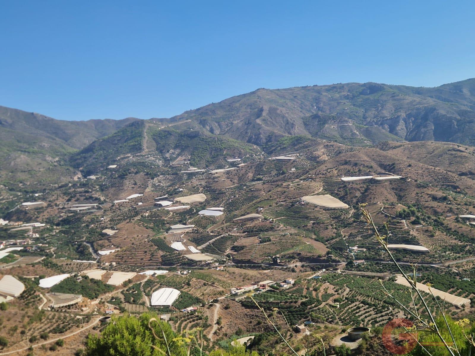 Venta de finca rústica en Itrabo