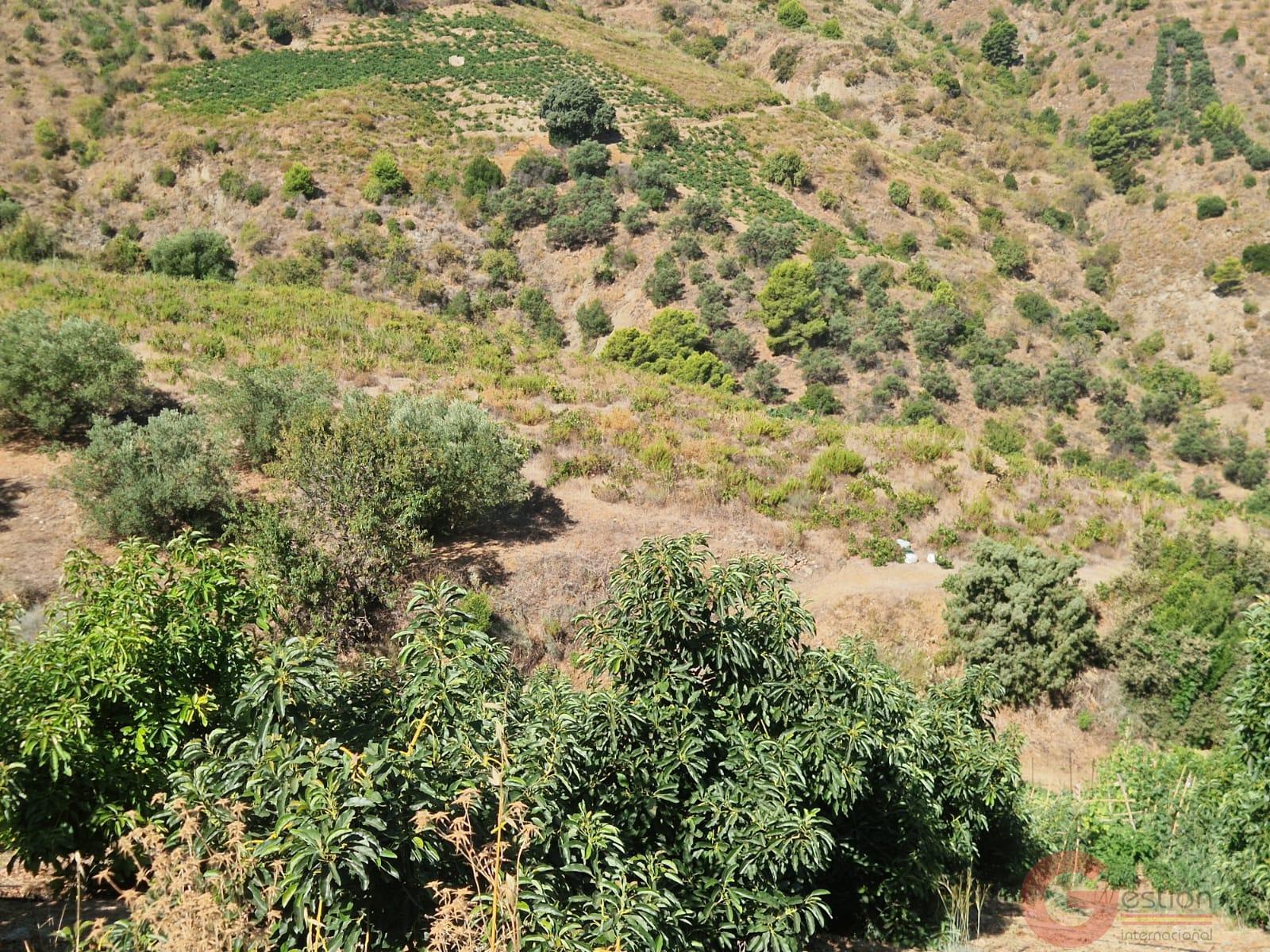 Venta de finca rústica en Itrabo