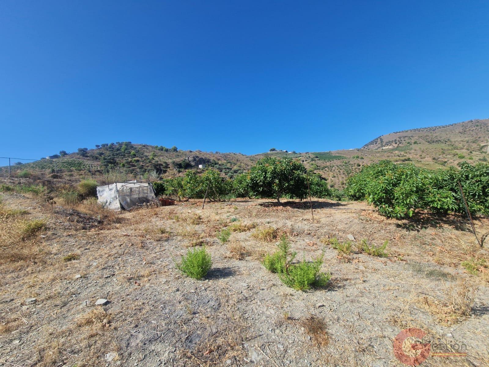 Venta de finca rústica en Itrabo