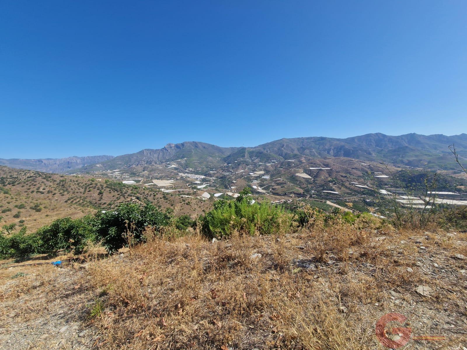 Venta de finca rústica en Itrabo