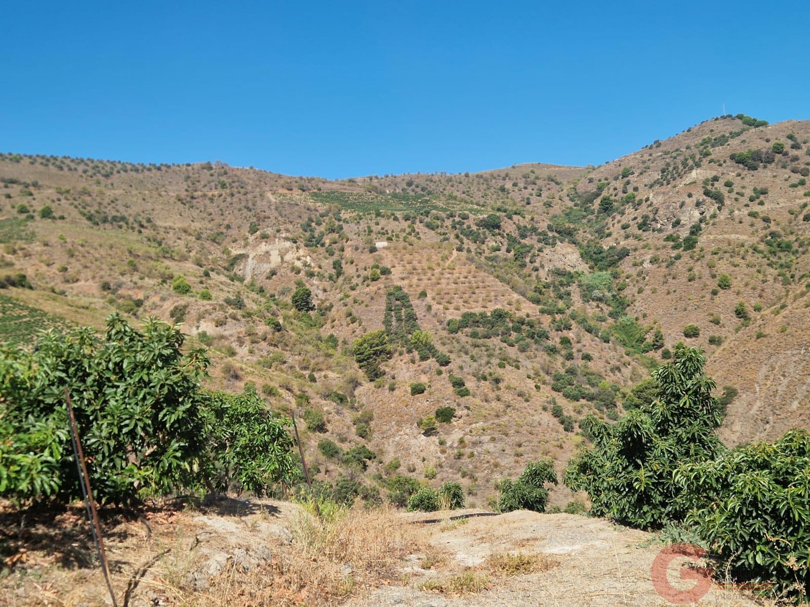 Venta de finca rústica en Itrabo