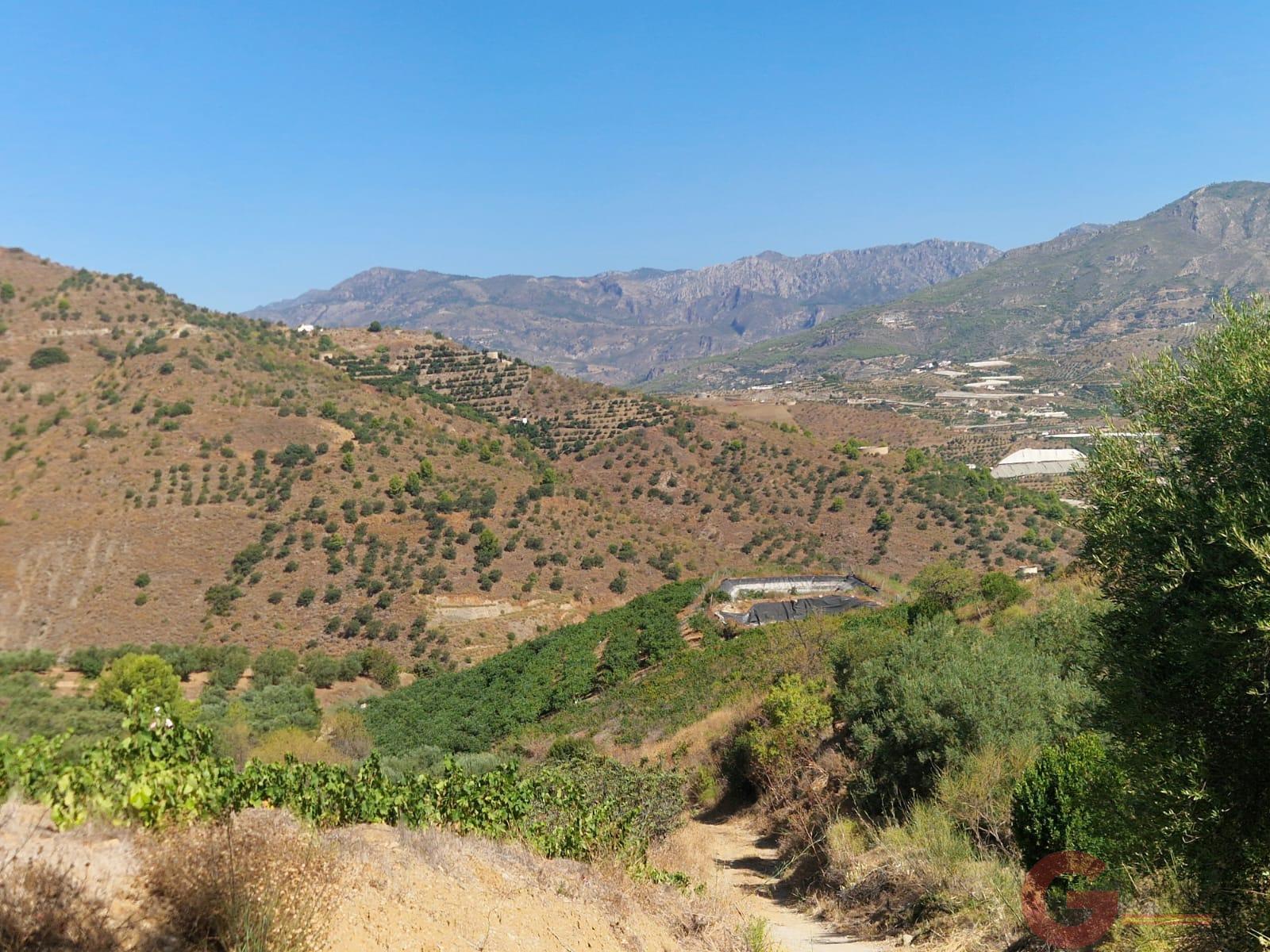 Venta de finca rústica en Itrabo
