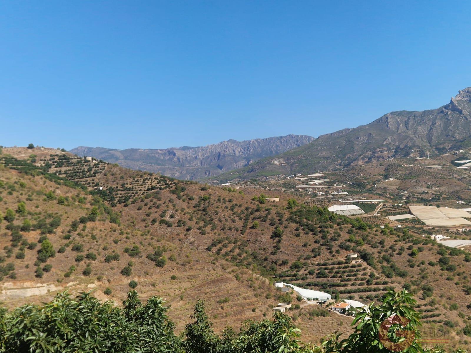 Venta de finca rústica en Itrabo