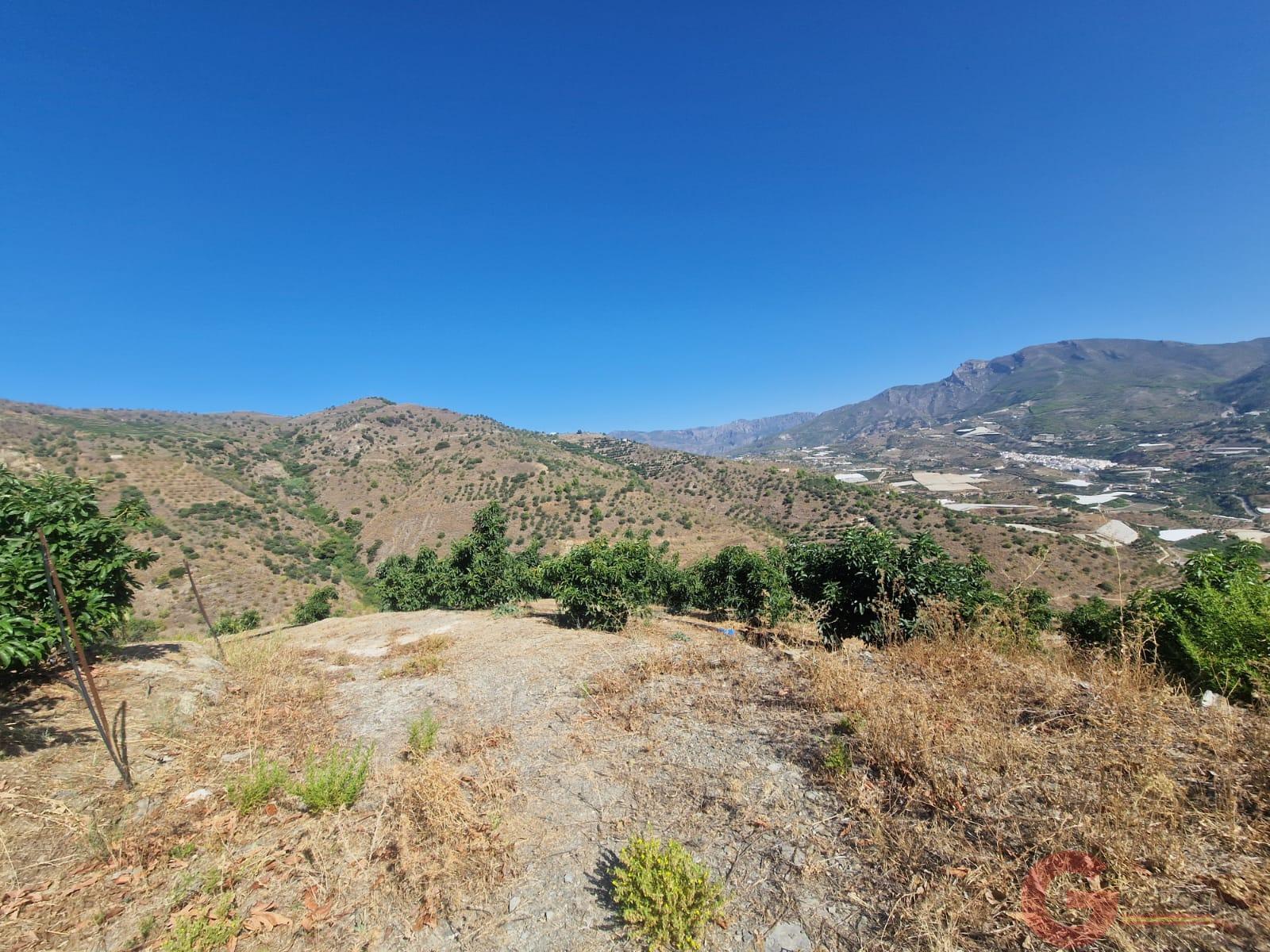 Venta de finca rústica en Itrabo