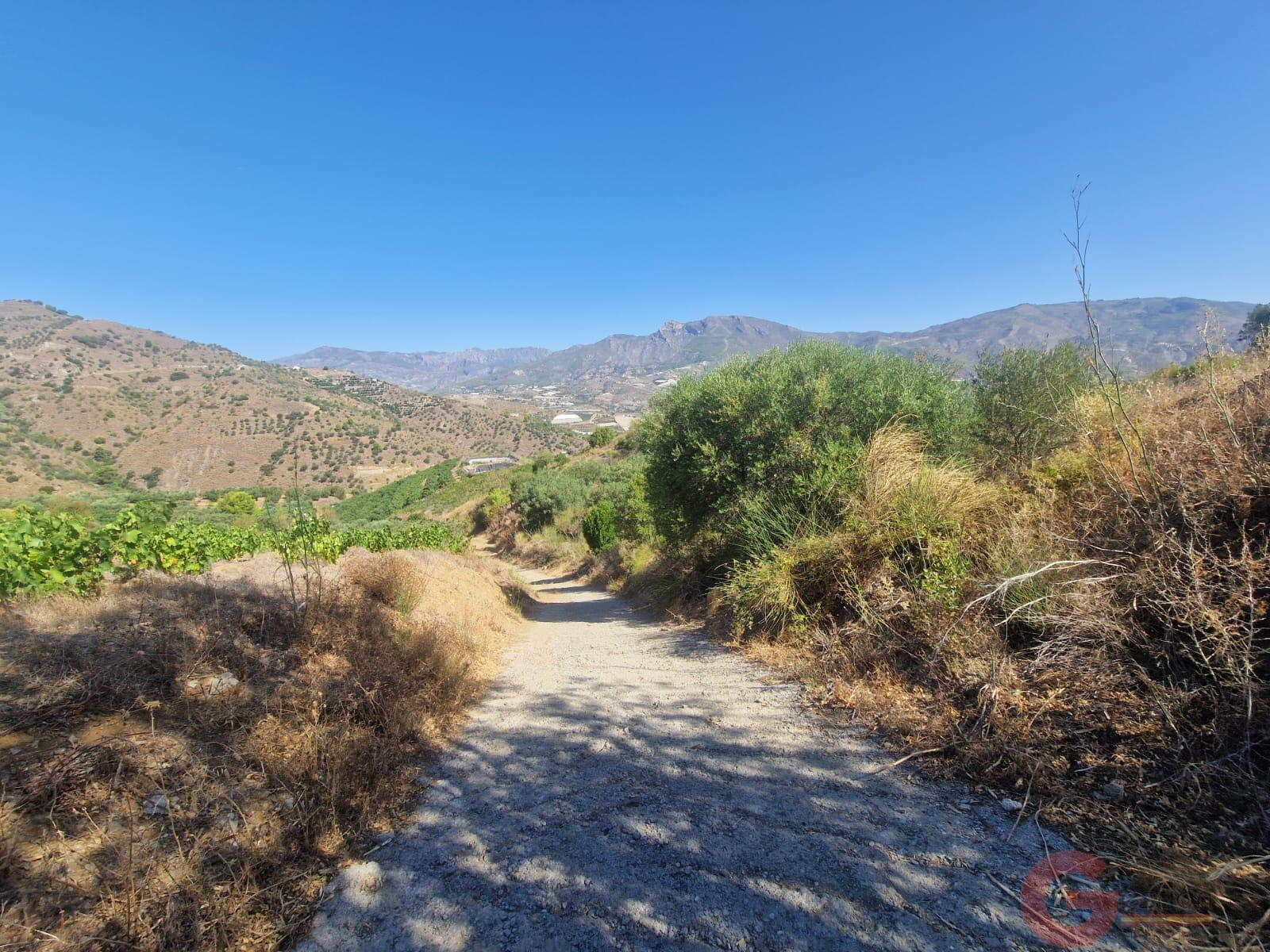 Venta de finca rústica en Itrabo