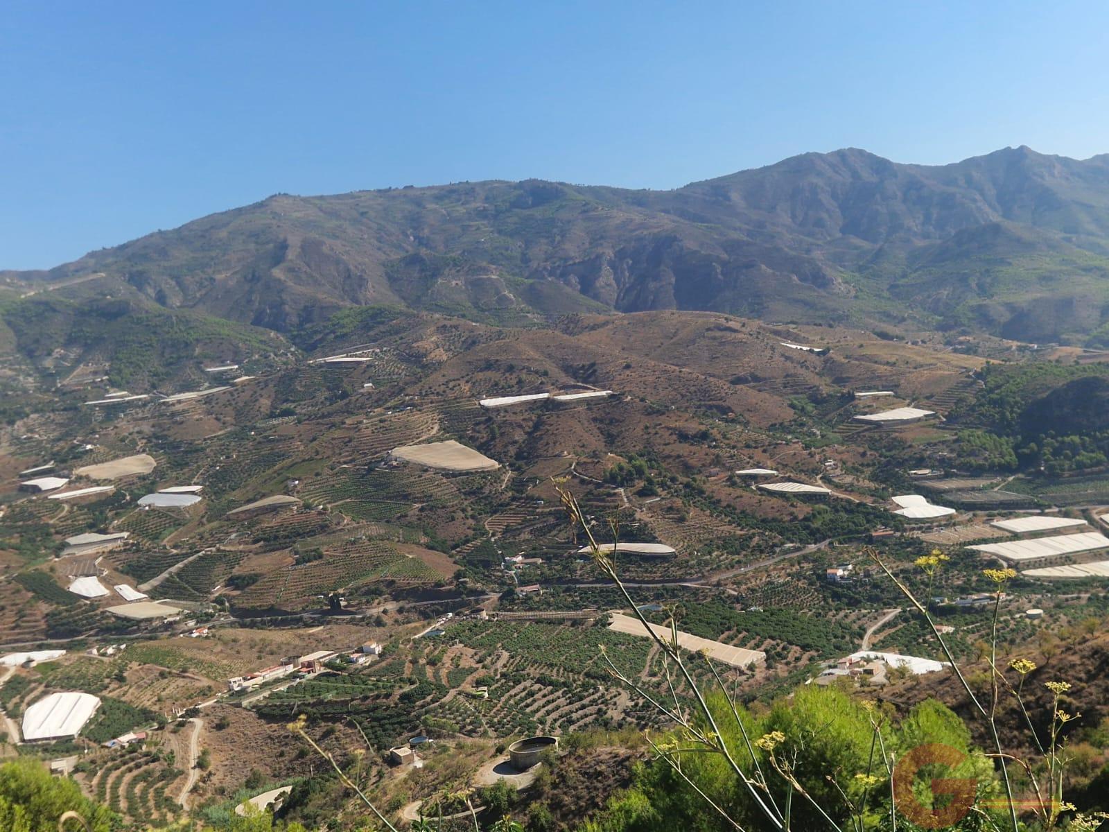 Venta de finca rústica en Itrabo