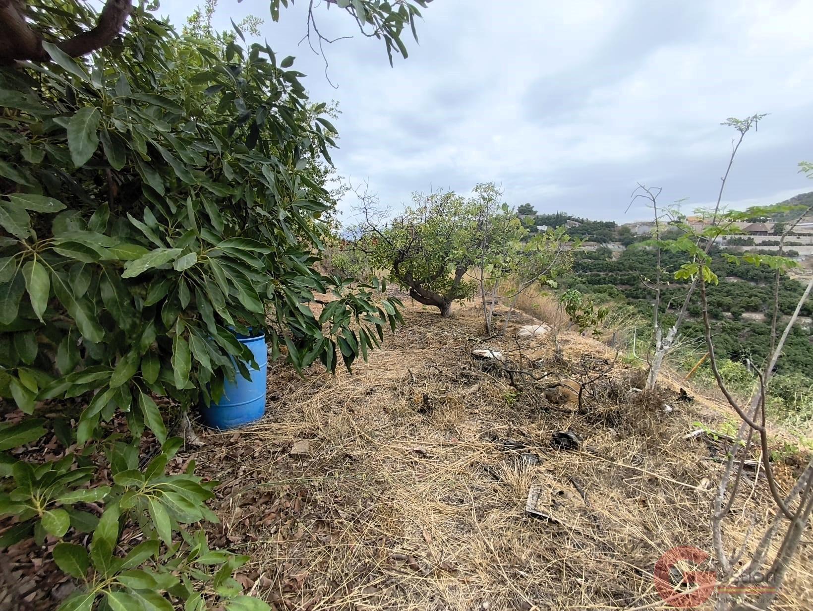 Venta de finca rústica en Motril