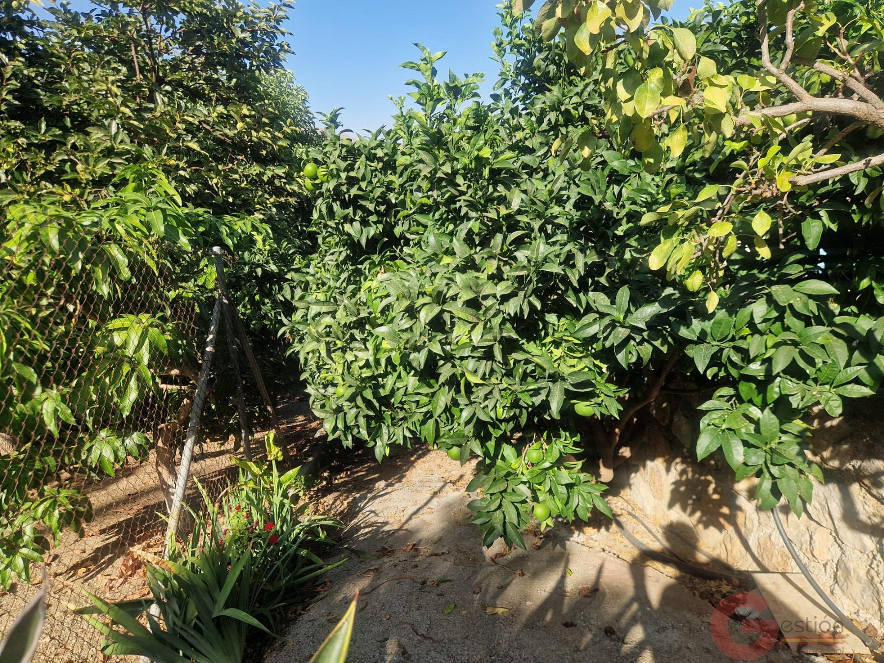 Venta de casa en Molvízar