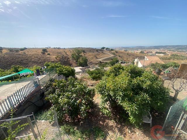 Venta de finca rústica en Vélez-Málaga