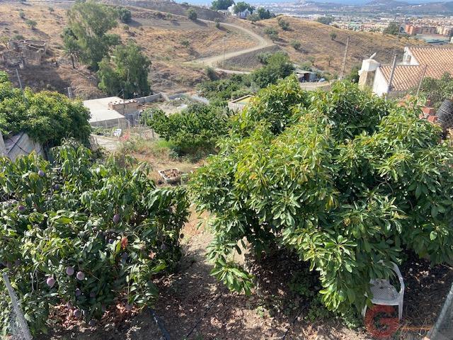 Venta de finca rústica en Vélez-Málaga