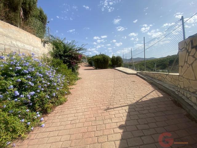 Venta de finca rústica en Vélez-Málaga