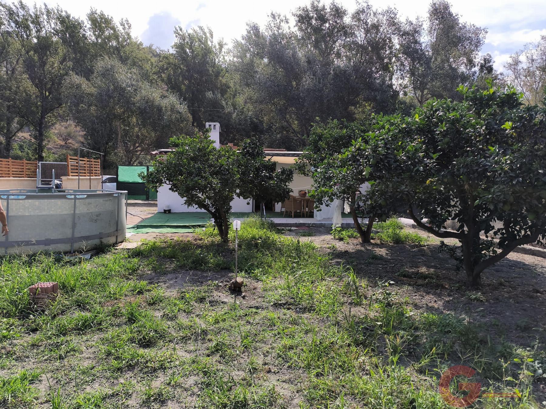 Venta de finca rústica en Vélez de Benaudalla