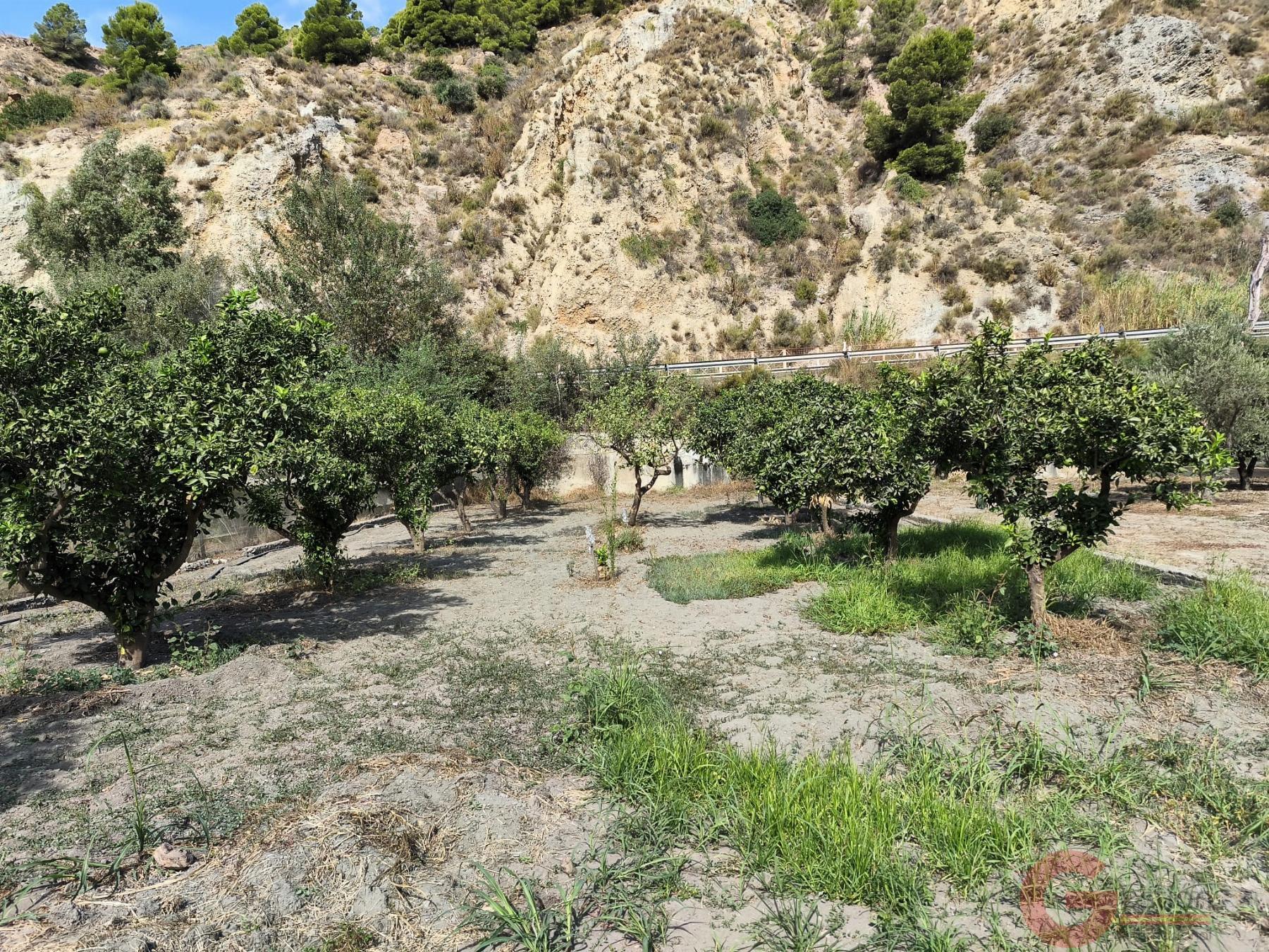 Venta de finca rústica en Vélez de Benaudalla