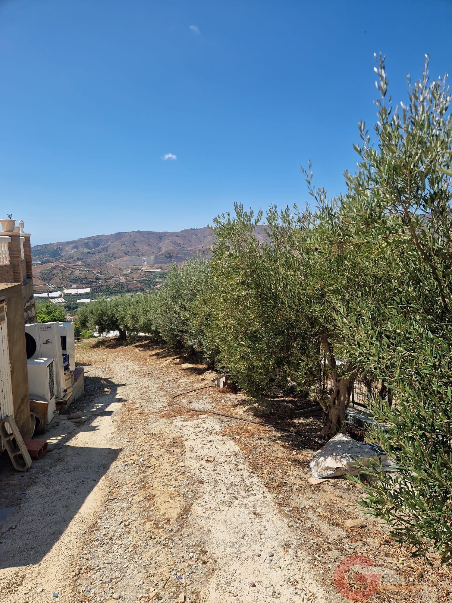 Venta de finca rústica en Molvízar