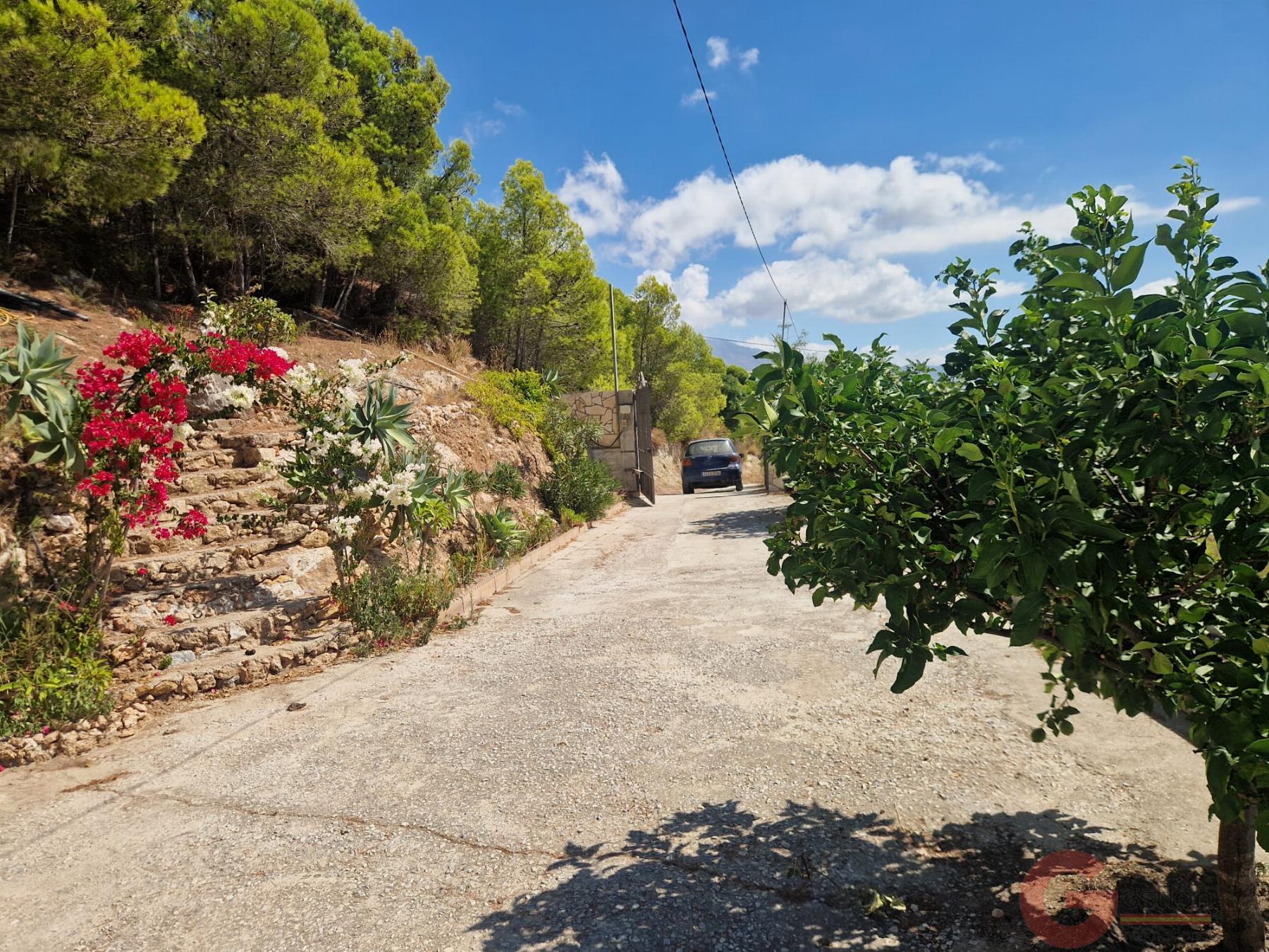 Venta de finca rústica en Molvízar