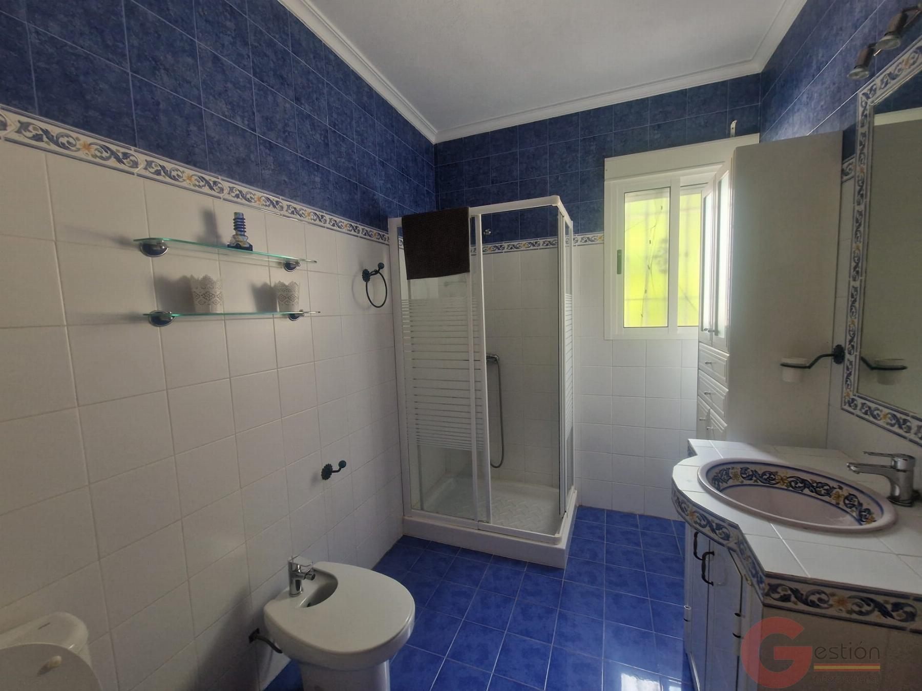 Venta de finca rústica en Molvízar