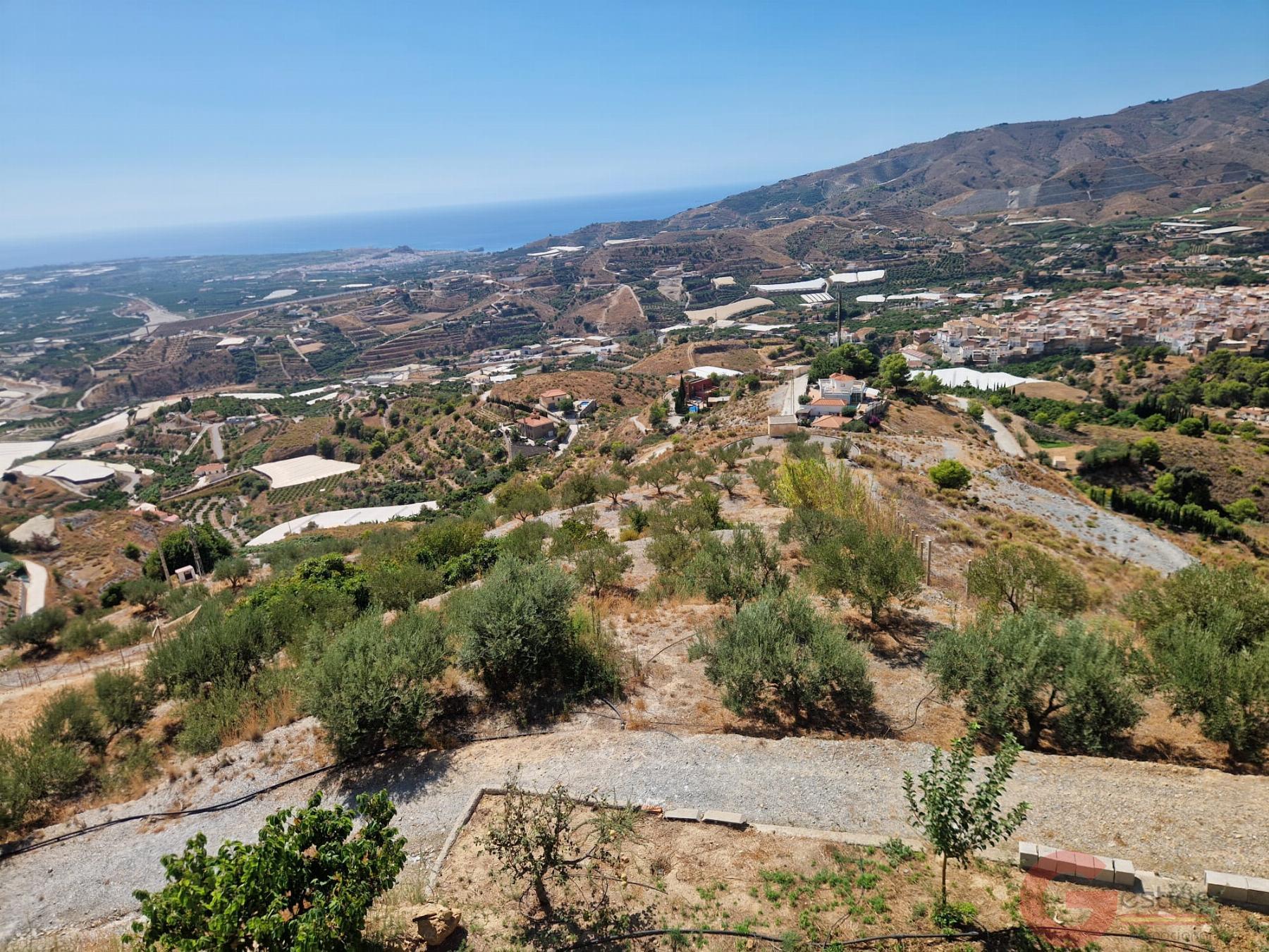 Venta de finca rústica en Molvízar