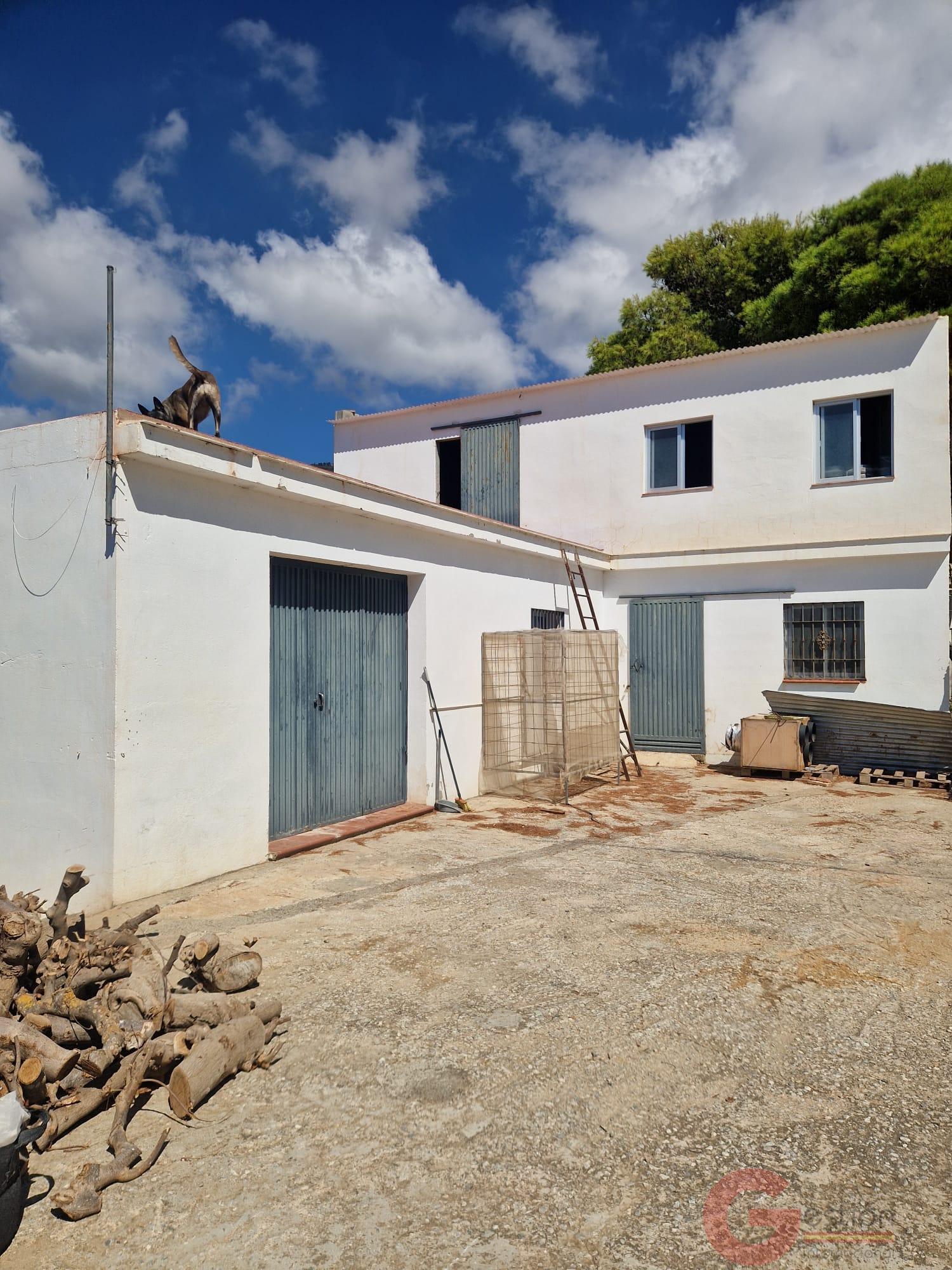 Venta de finca rústica en Molvízar