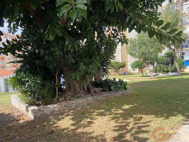 Venta de estudio en Rincón de la Victoria