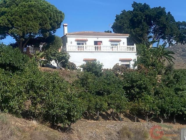 Venta de finca rústica en Algarrobo