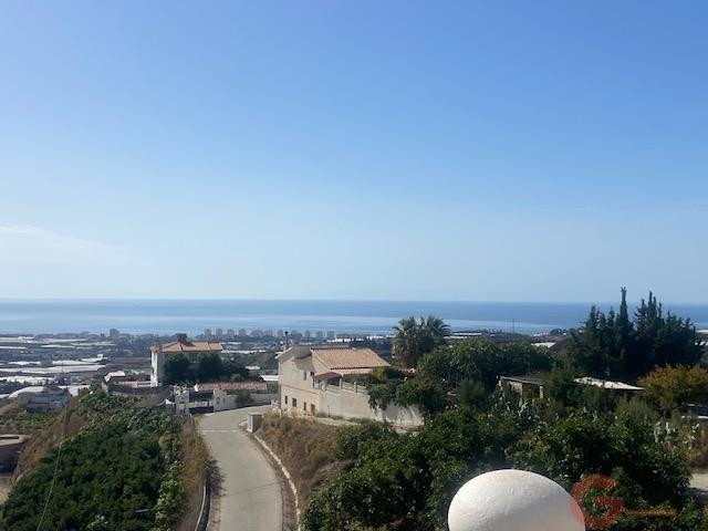 Venta de finca rústica en Algarrobo