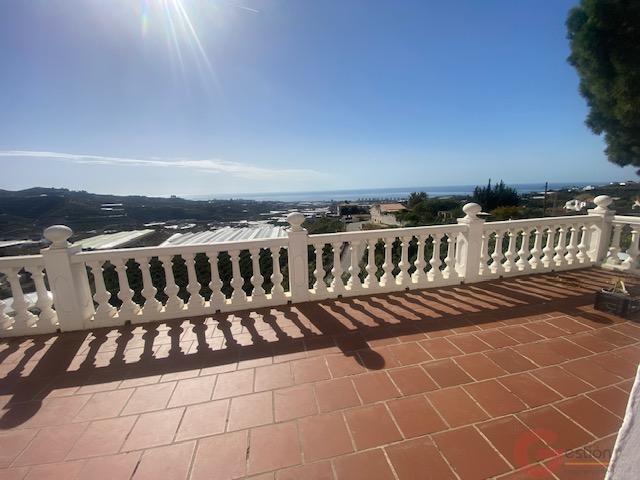 Venta de finca rústica en Algarrobo