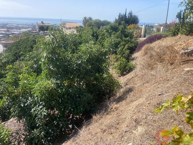 Venta de finca rústica en Algarrobo