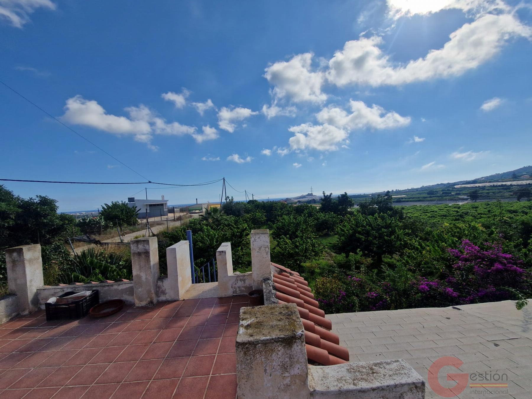 Venta de finca rústica en Salobreña