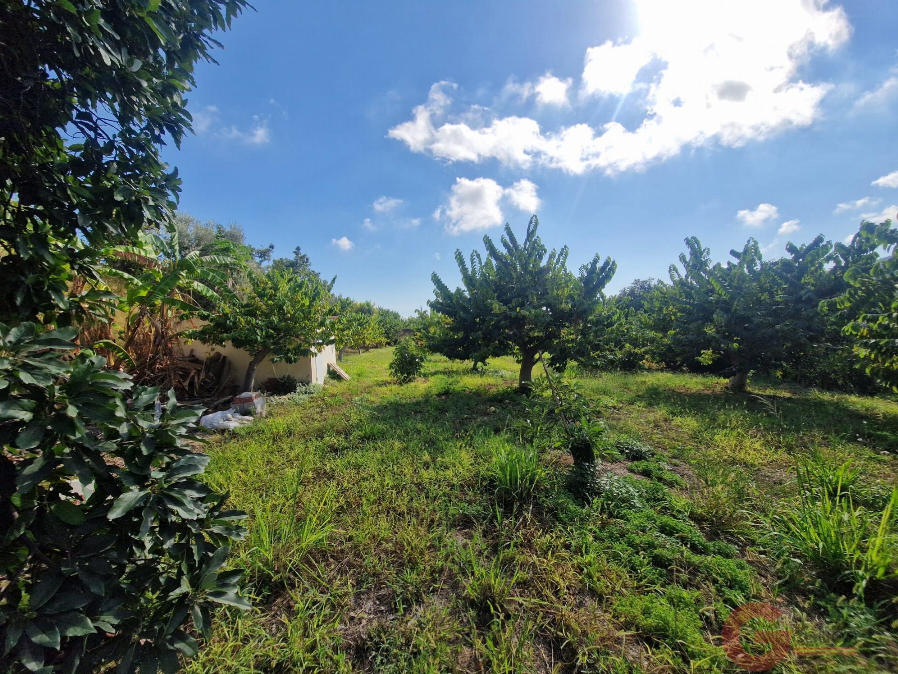 Venta de finca rústica en Salobreña
