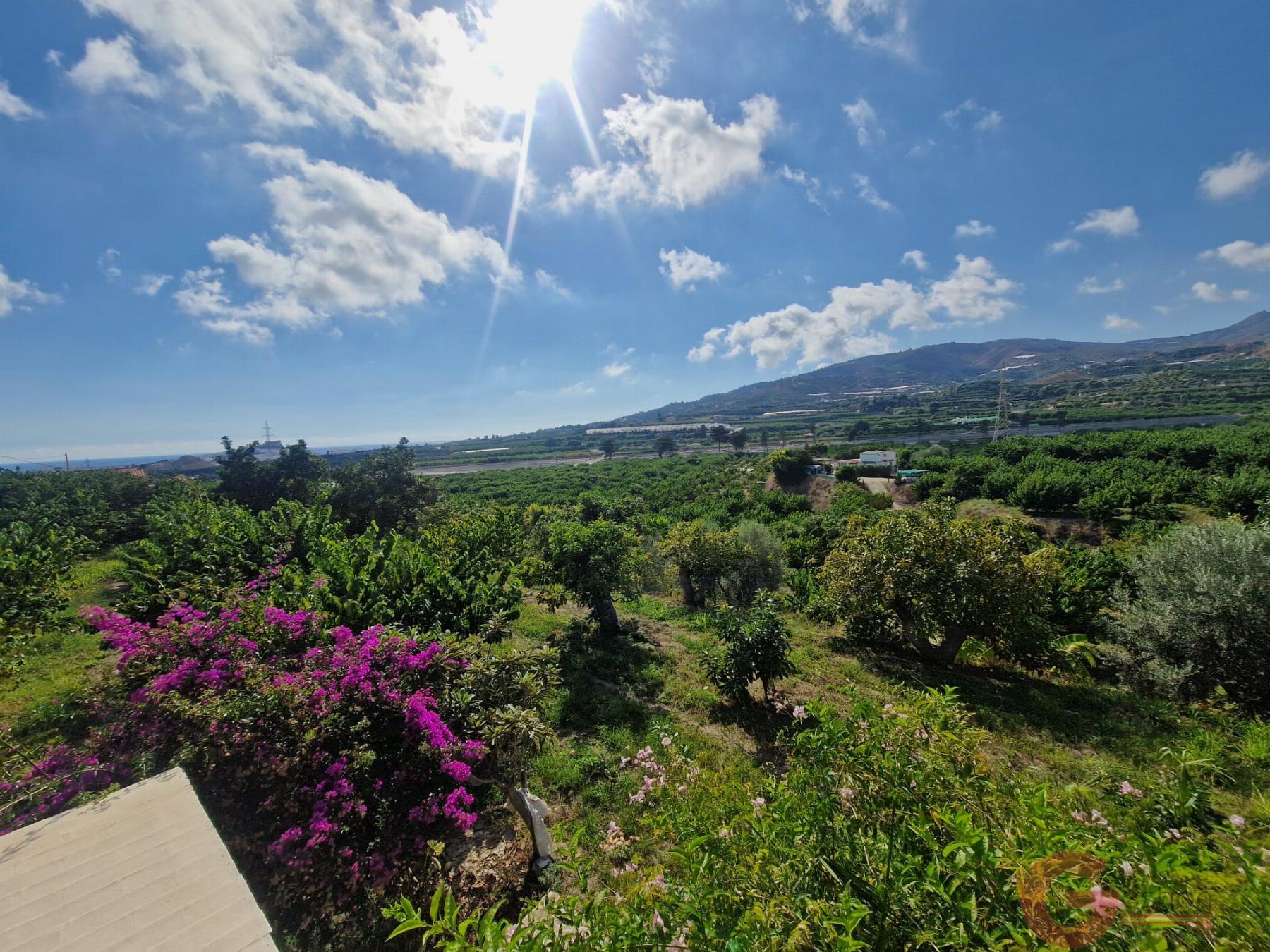 Venta de finca rústica en Salobreña
