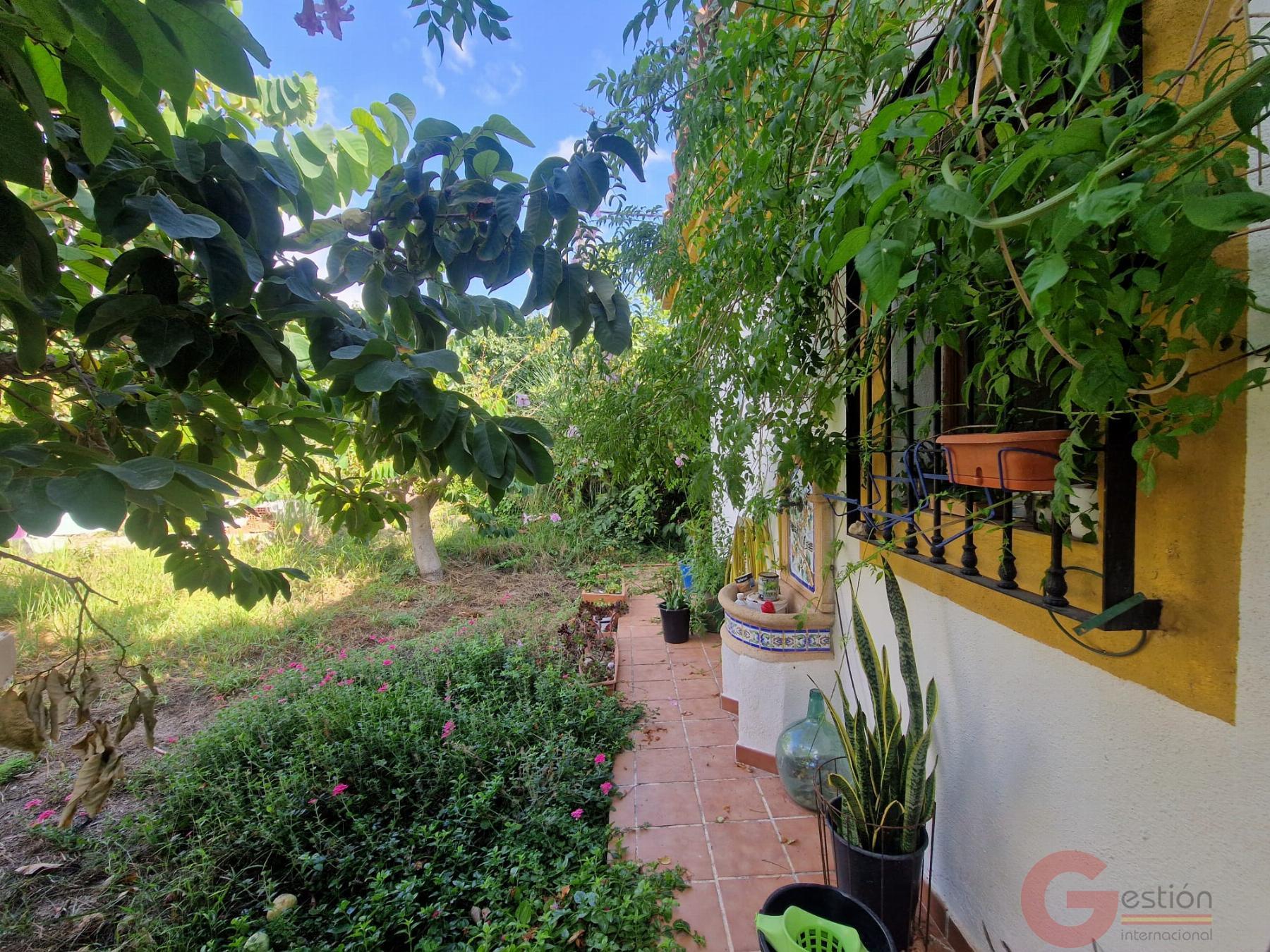 Venta de finca rústica en Salobreña