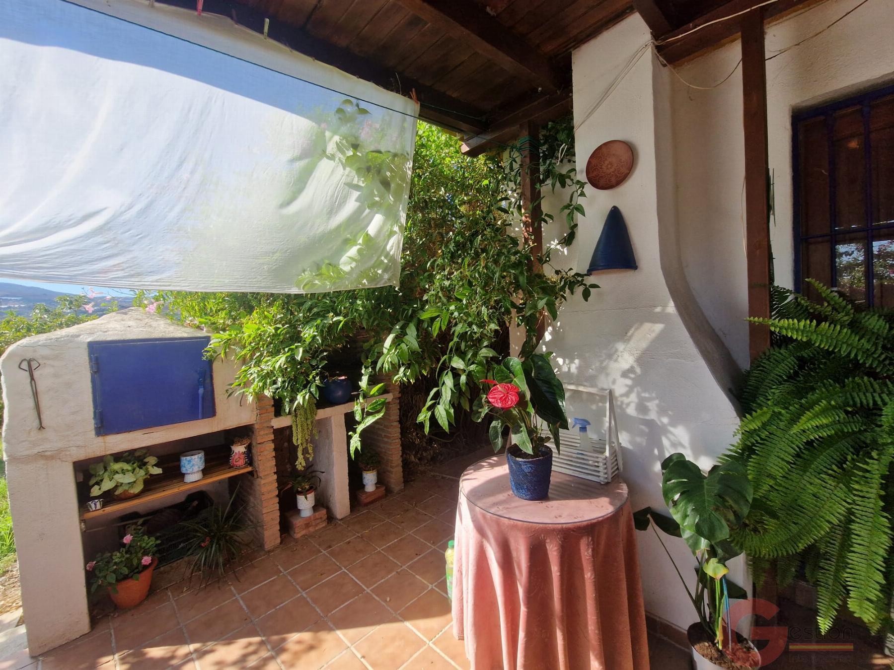 Venta de finca rústica en Salobreña