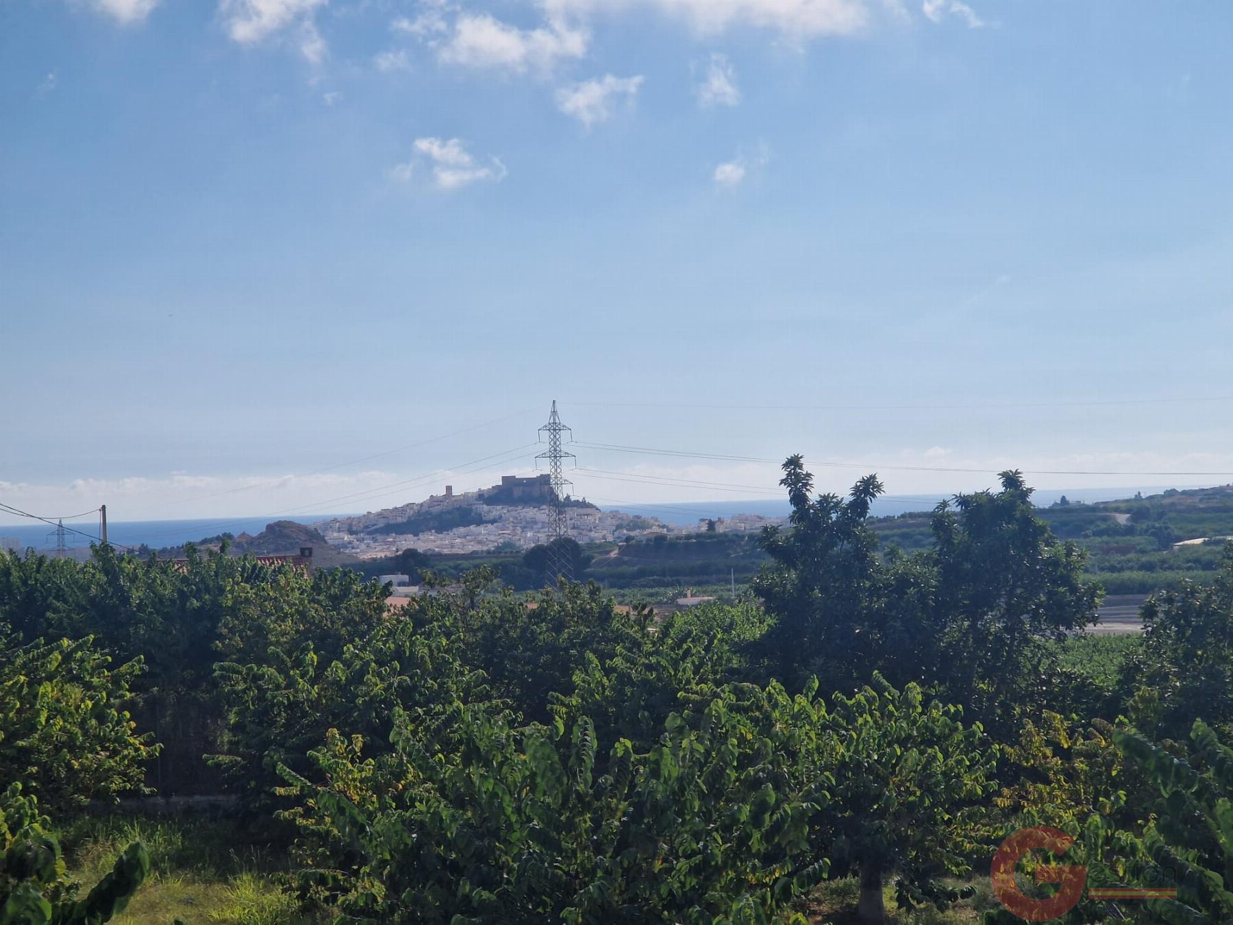 Venta de finca rústica en Salobreña