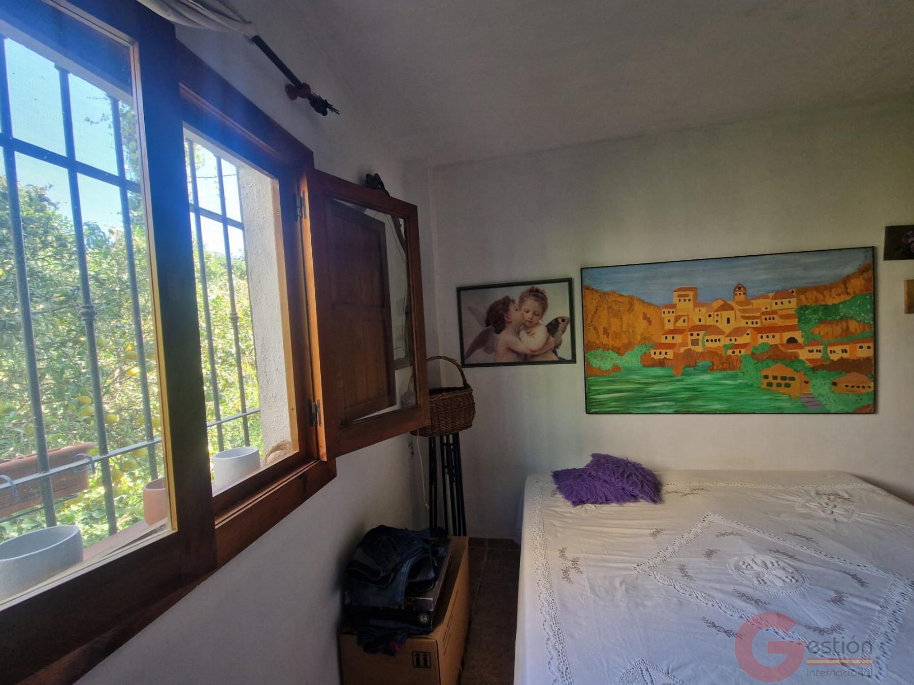 Venta de finca rústica en Salobreña