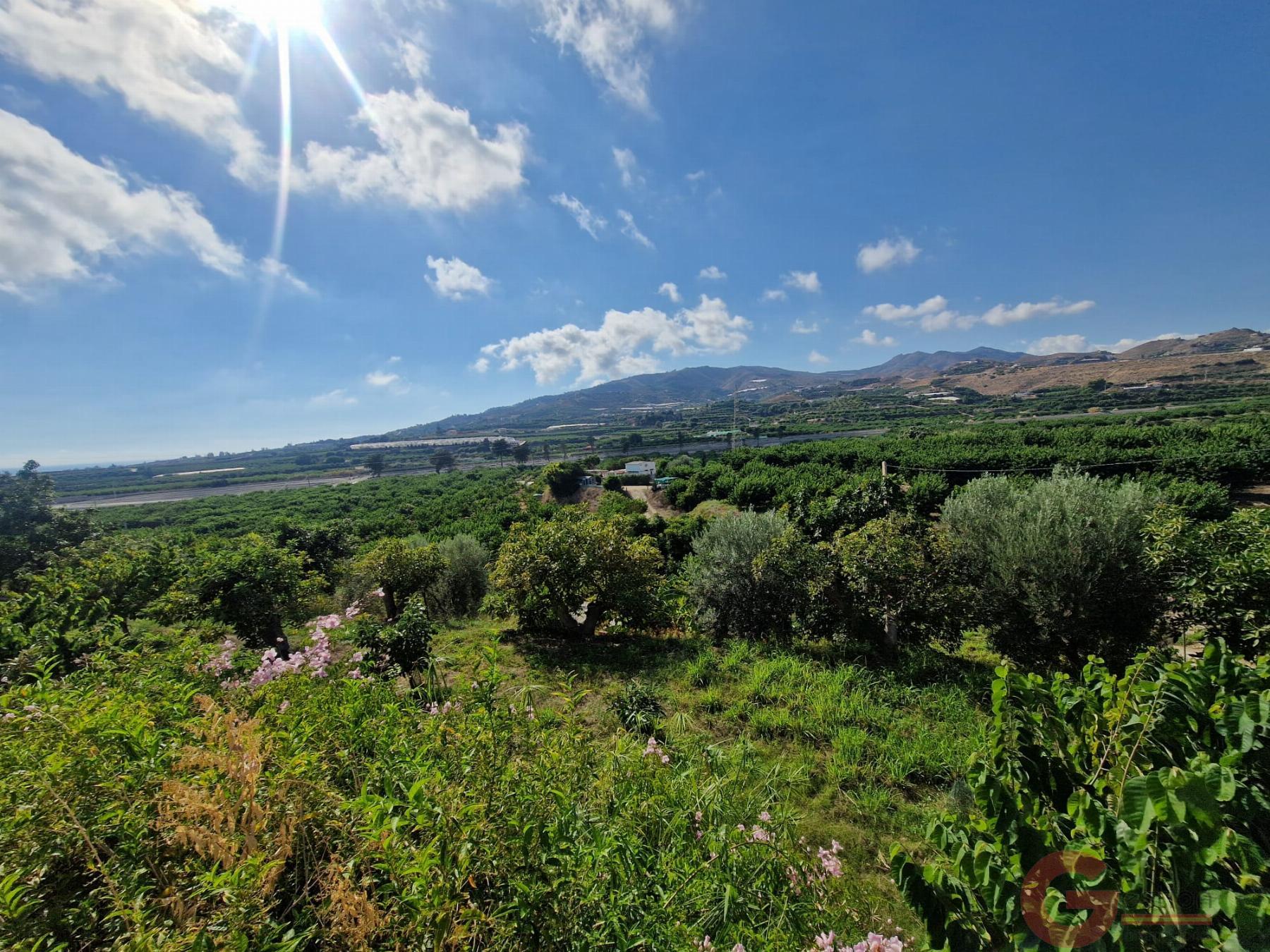 Venta de finca rústica en Salobreña