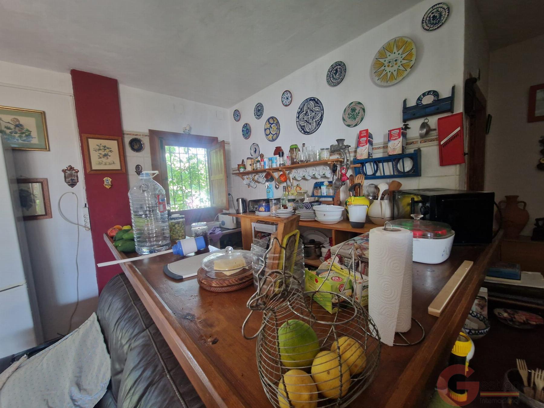 Venta de finca rústica en Salobreña
