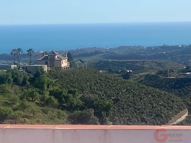 Venta de finca rústica en Vélez-Málaga Municipio