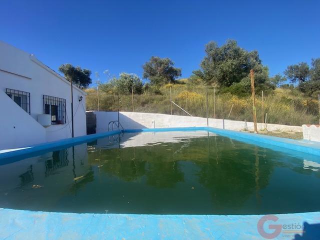 Venta de finca rústica en Vélez-Málaga Municipio