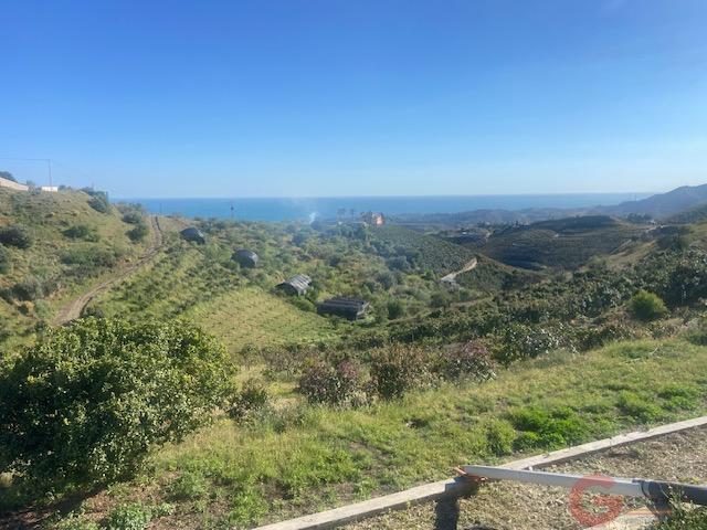Venta de finca rústica en Vélez-Málaga Municipio