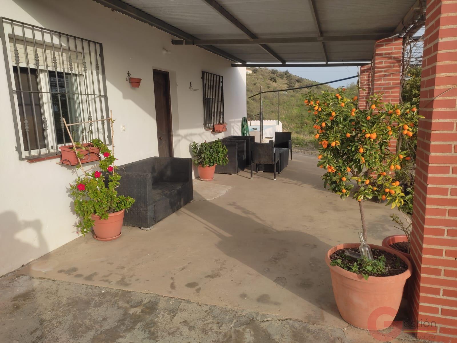 Venta de finca rústica en Vélez-Málaga Municipio