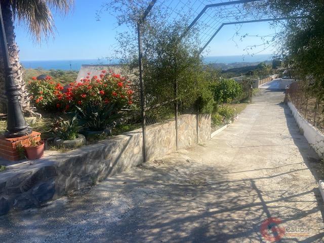 Venta de finca rústica en Vélez-Málaga Municipio