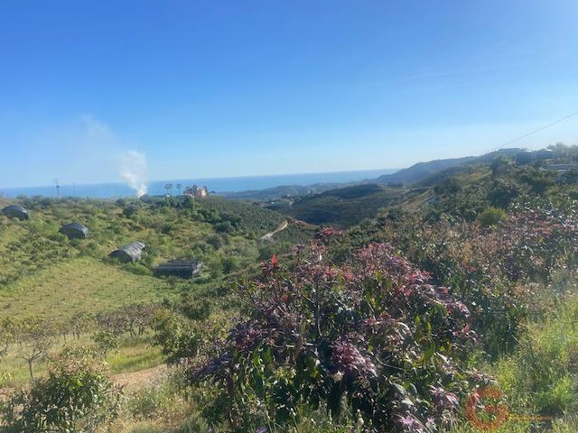 Venta de finca rústica en Vélez-Málaga Municipio