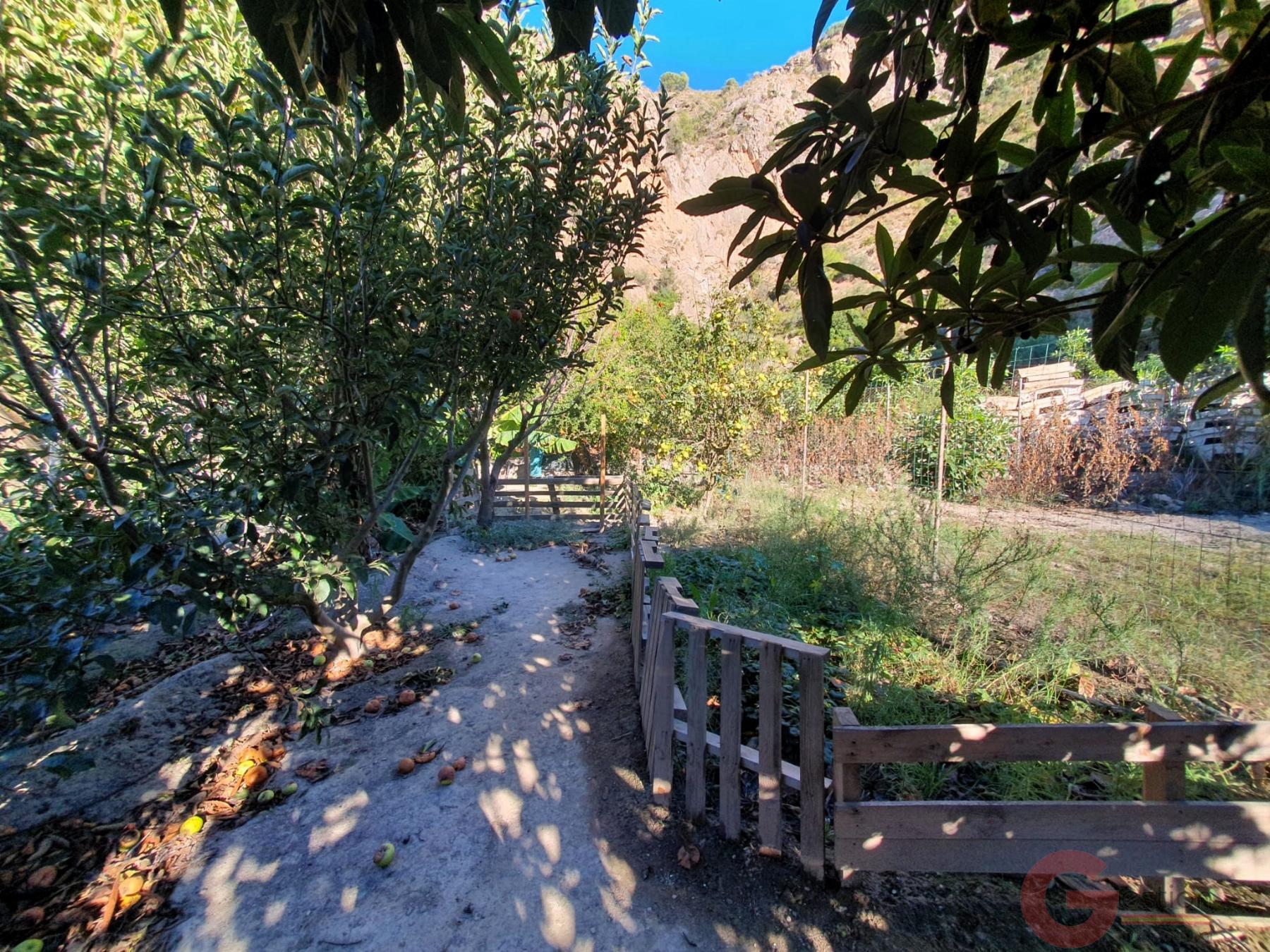 Venta de terreno en Vélez de Benaudalla