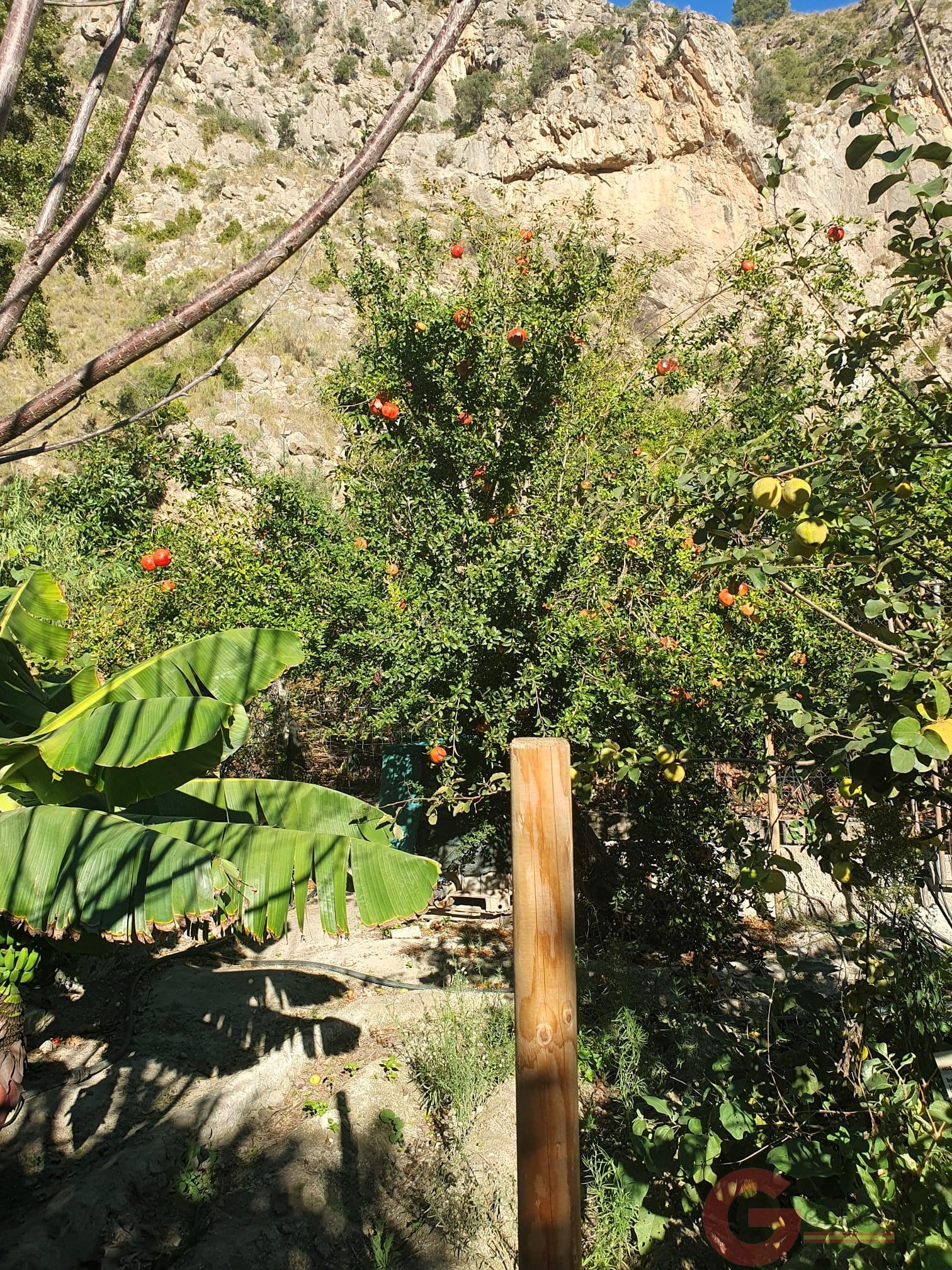 Venta de terreno en Vélez de Benaudalla