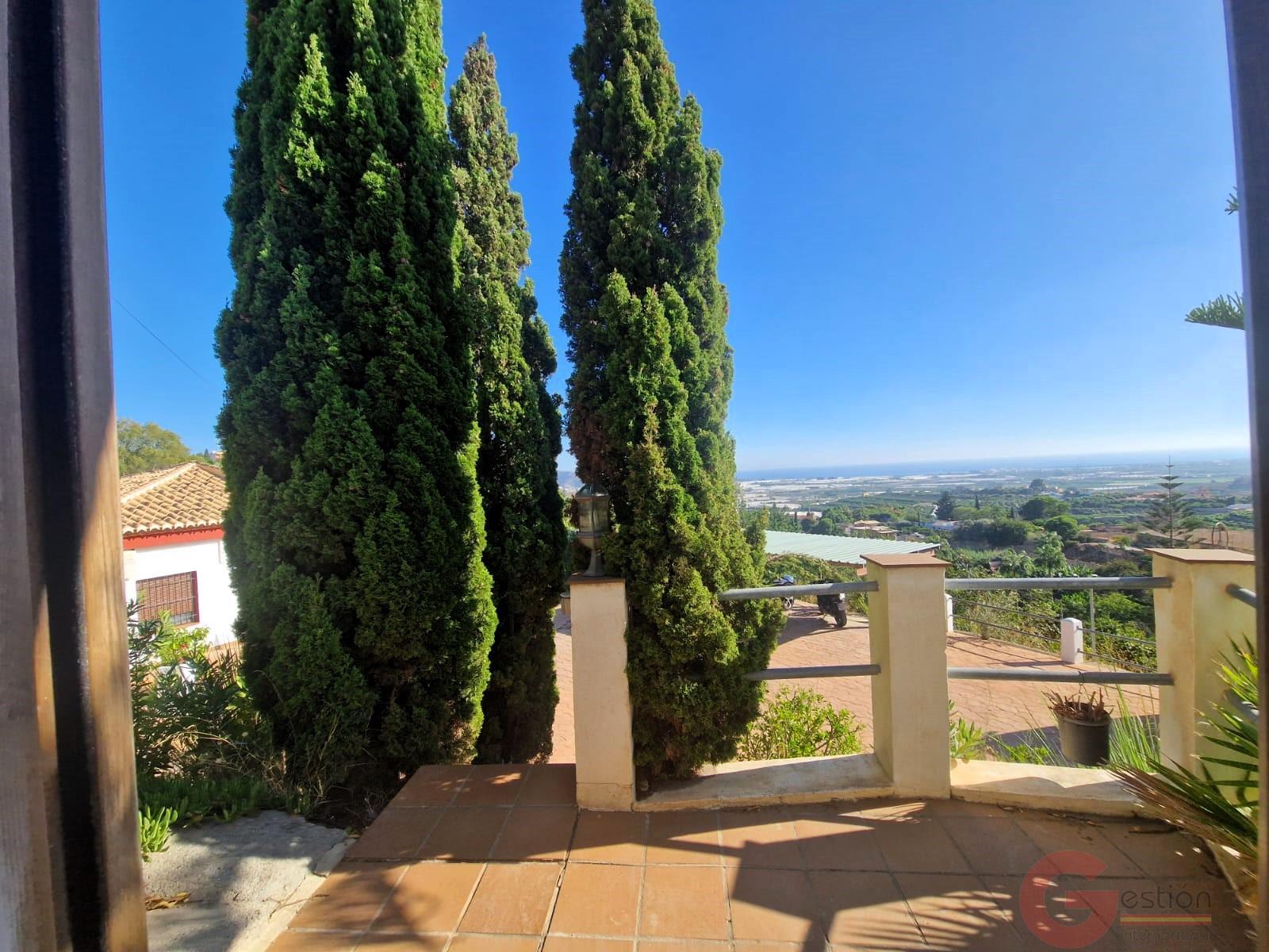 Venta de finca rústica en Motril
