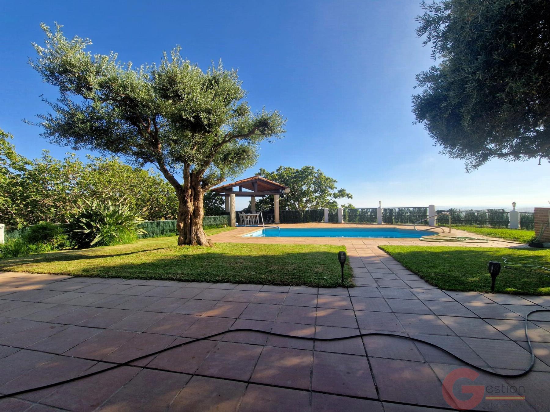 Venta de finca rústica en Motril