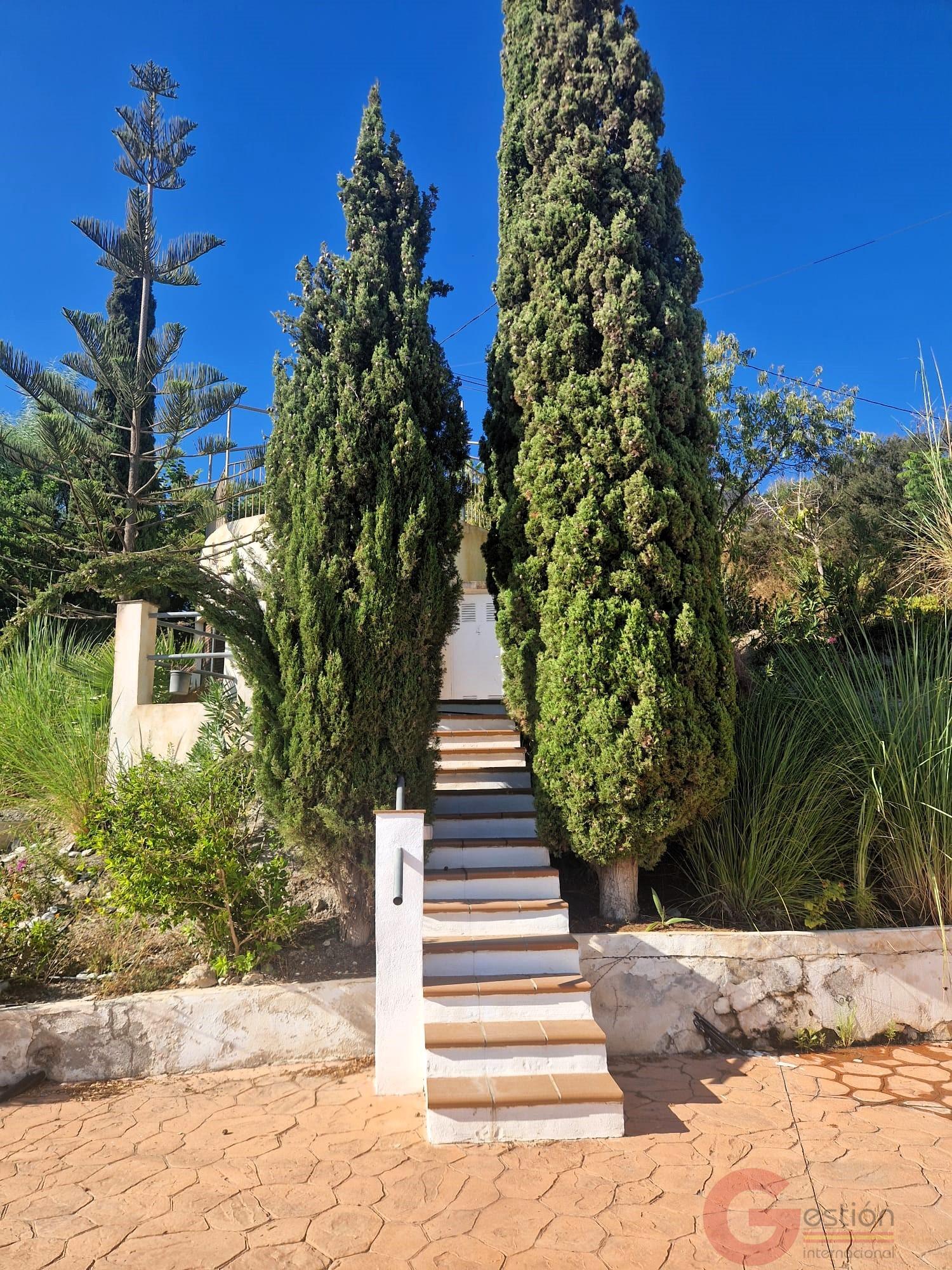 Venta de finca rústica en Motril