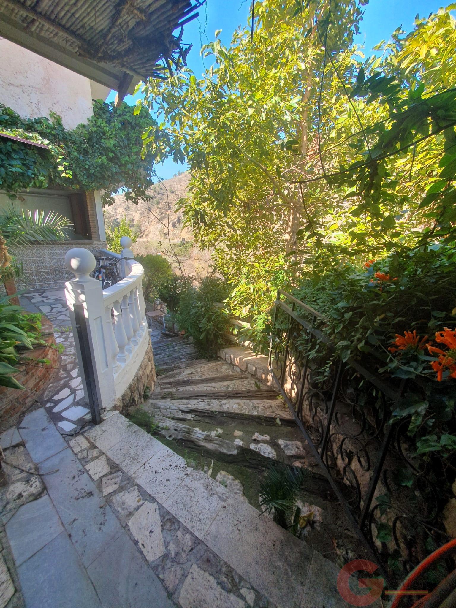Venta de finca rústica en Vélez de Benaudalla