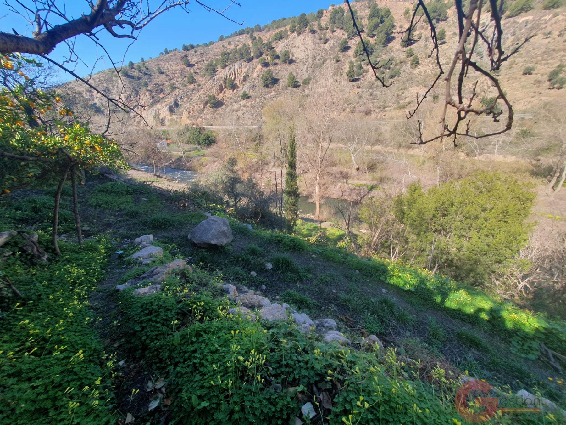 Venta de finca rústica en Vélez de Benaudalla