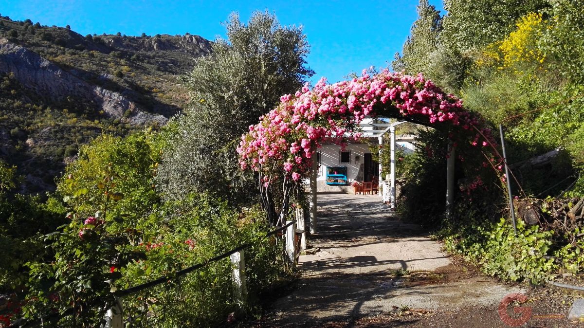 Venta de chalet en Órgiva